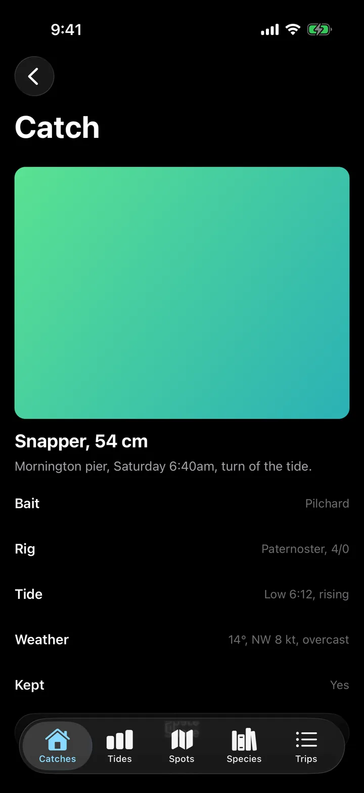 Tidelog: Catch on iOS, dark