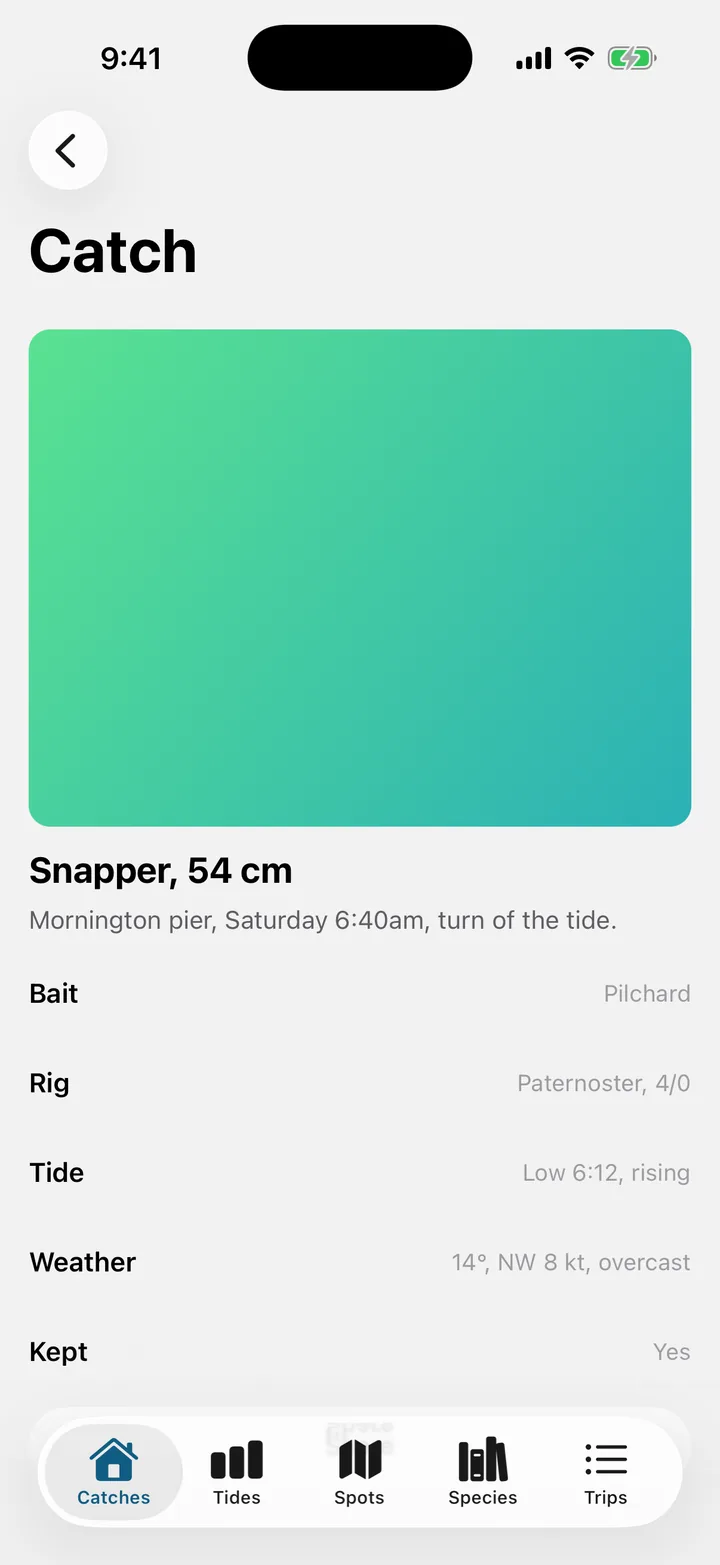 Tidelog: Catch on iOS, light