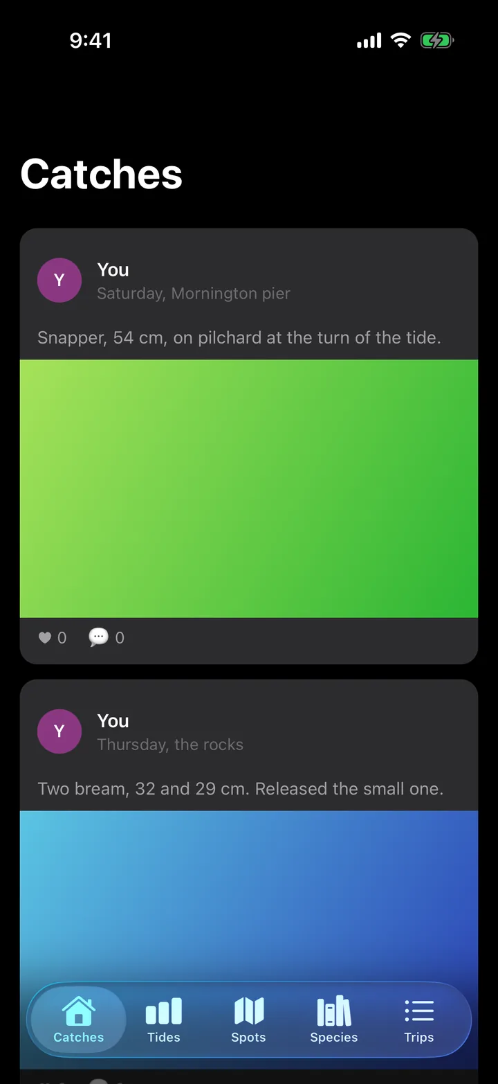 Tidelog: Catches on iOS