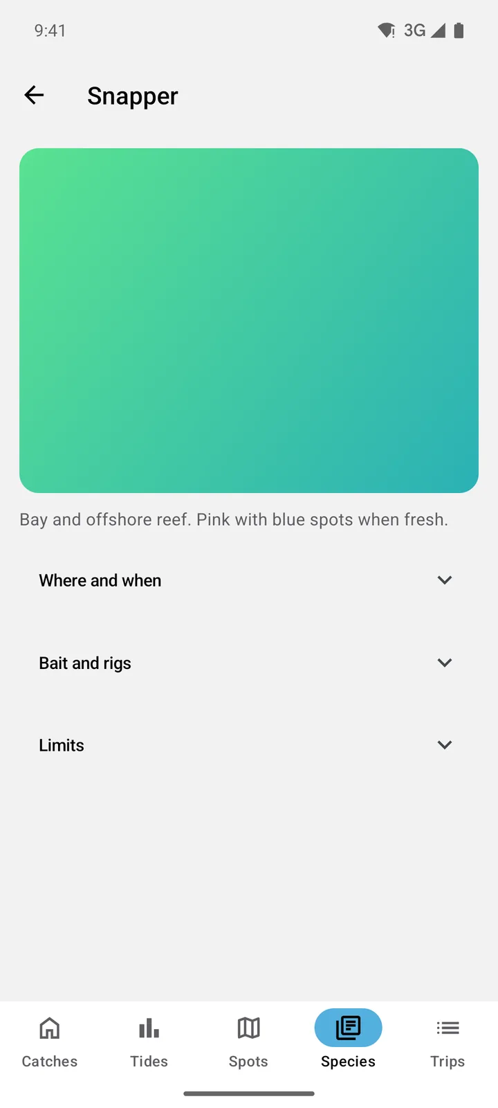 Tidelog: Snapper on Android, light