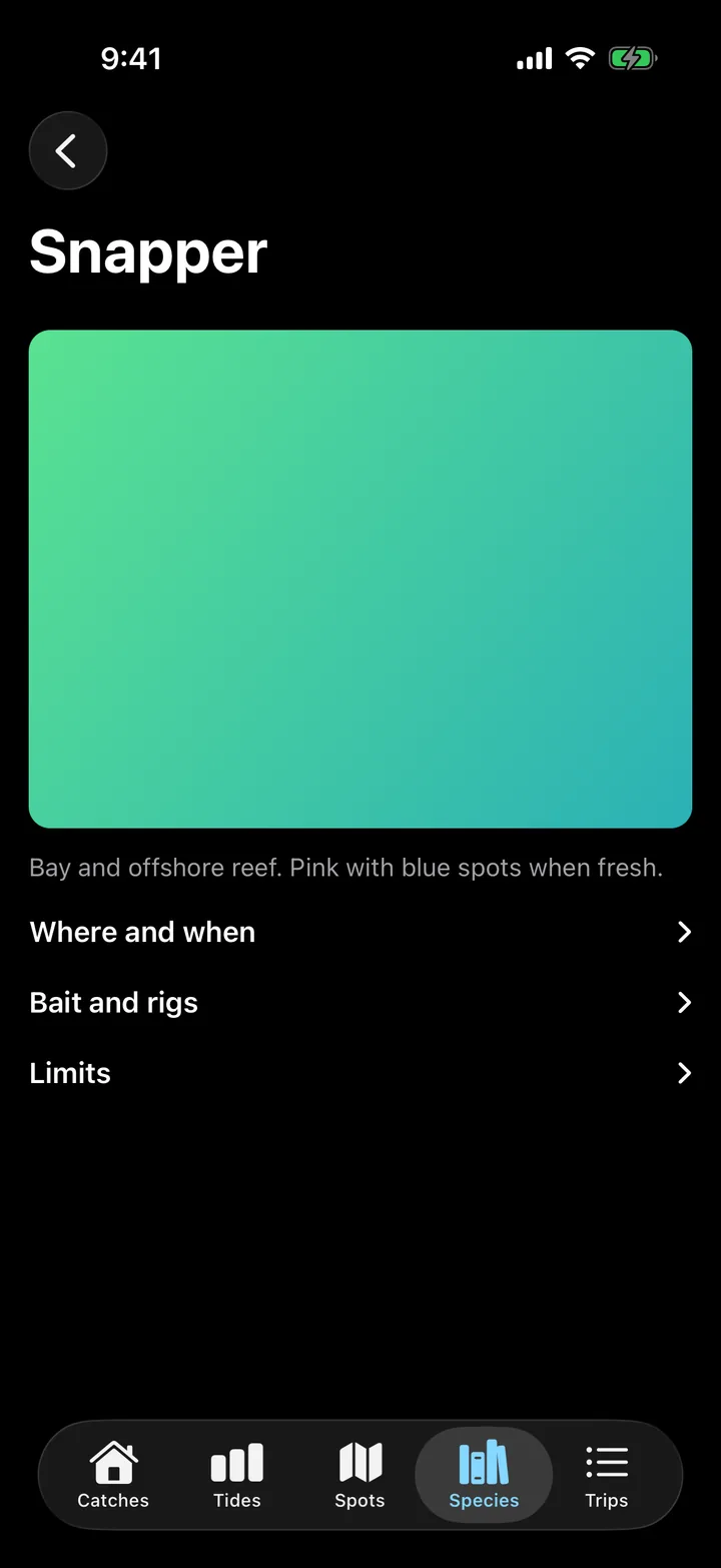 Tidelog: Snapper on iOS, dark