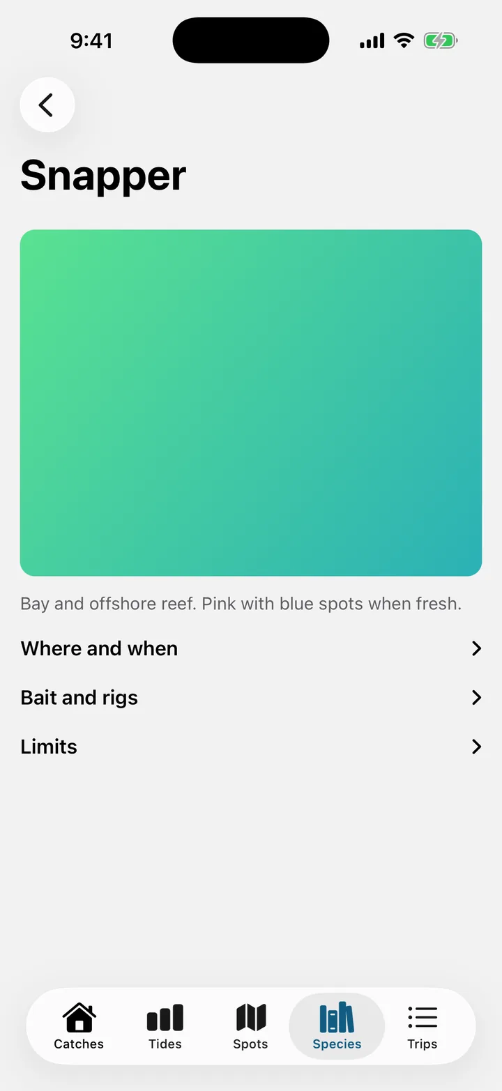 Tidelog: Snapper on iOS, light