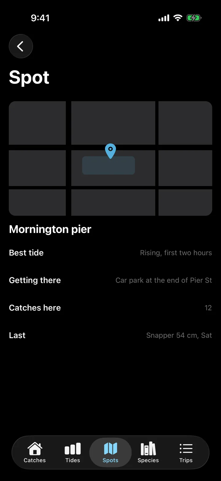 Tidelog: Spot on iOS, dark