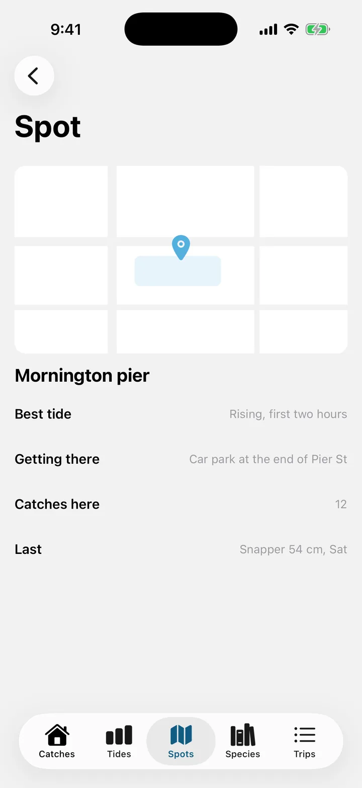Tidelog: Spot on iOS, light